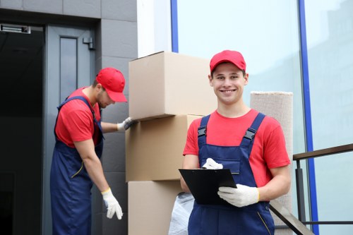 Moving team using safety equipment during a Whitecity removal