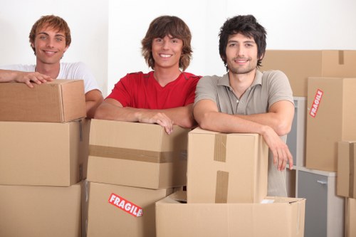 House removal team in Whitecity transporting boxes and furniture