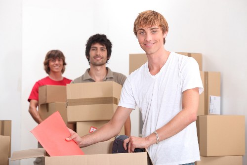 Different sizes of packing boxes suitable for Whitecity homes and offices